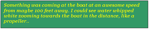 Text Box: Something was coming at the boat at an awesome speed from maybe 100 feet away. I could see water whipped white zooming towards the boat in the distance, like a propeller..